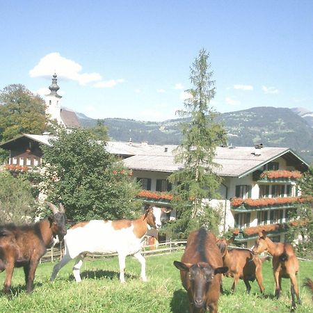 Hotel Torrenerhof Golling an der Salzach Esterno foto