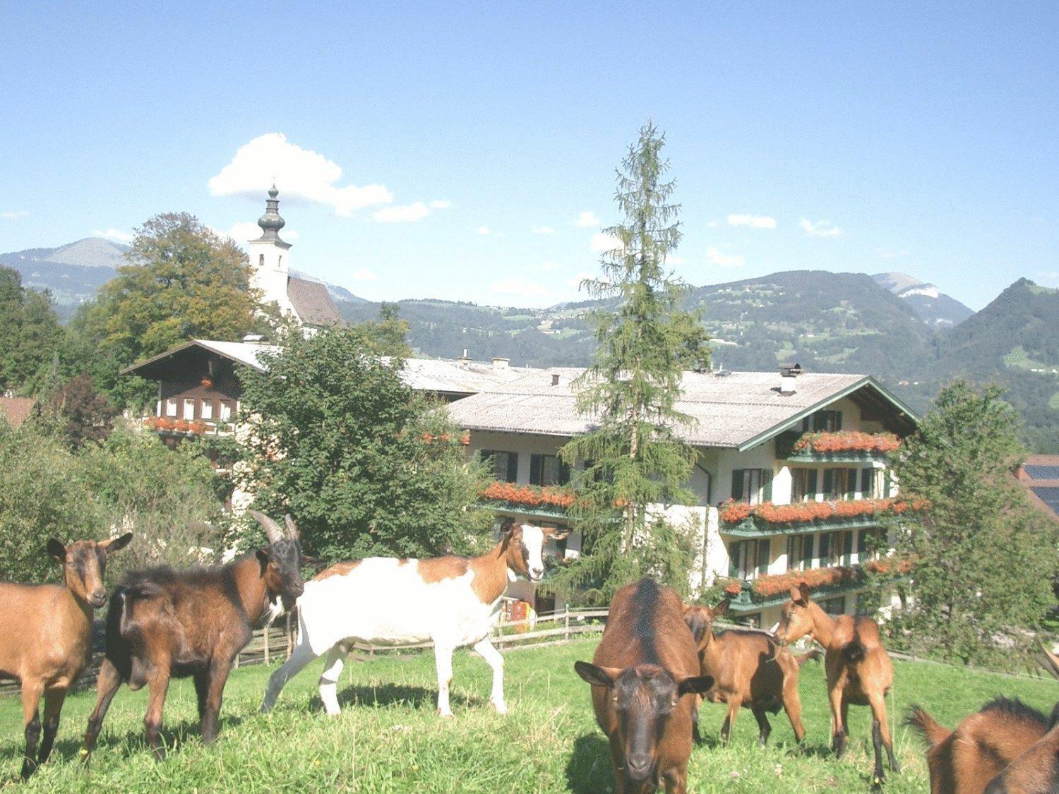 Hotel Torrenerhof Golling an der Salzach Esterno foto