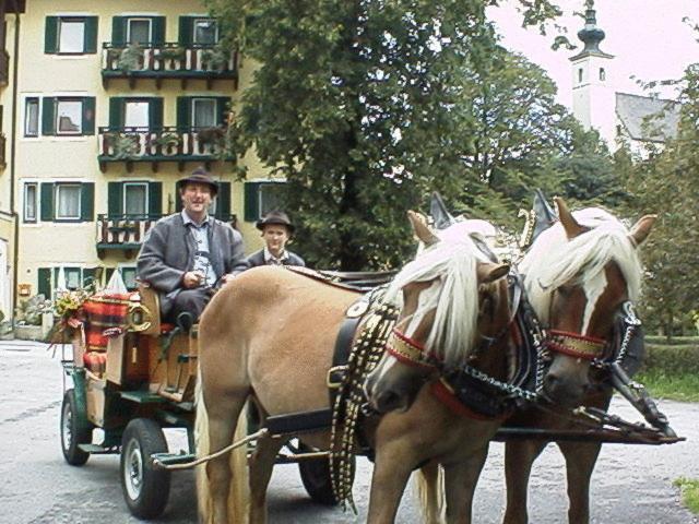Hotel Torrenerhof Golling an der Salzach Esterno foto